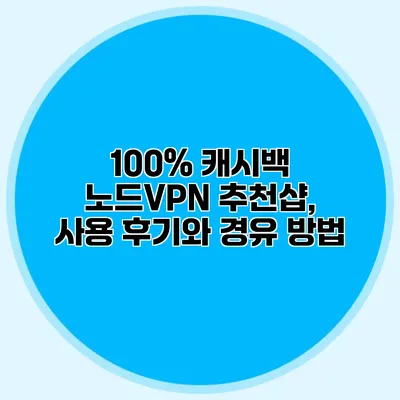 100% 캐시백 노드VPN 추천샵, 사용 후기와 경유 방법