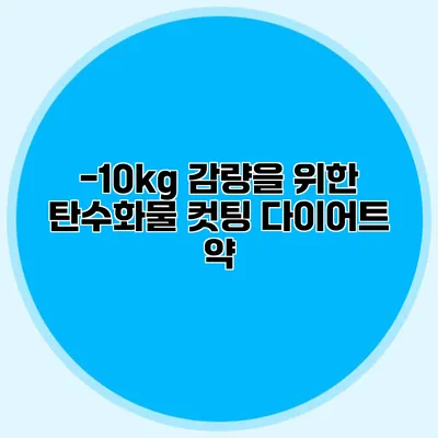 -10kg 감량을 위한 탄수화물 컷팅 다이어트 약