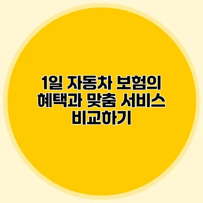 1일 자동차 보험의 혜택과 맞춤 서비스 비교하기