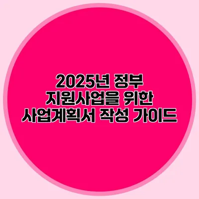 2025년 정부 지원사업을 위한 사업계획서 작성 가이드