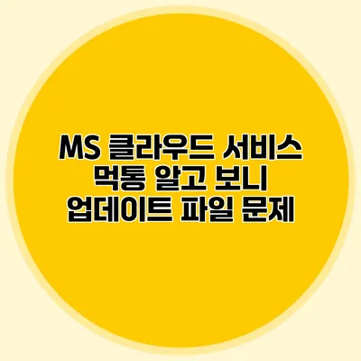 MS 클라우드 서비스 먹통 알고 보니 업데이트 파일 문제?