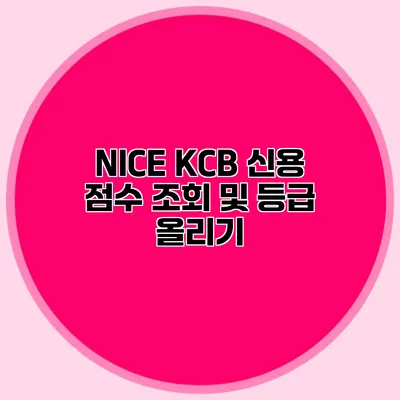 NICE KCB 신용 점수 조회 및 등급 올리기