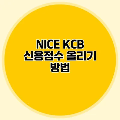 NICE KCB 신용점수 올리기 방법