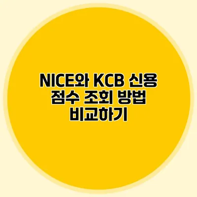 NICE와 KCB 신용 점수 조회 방법 비교하기