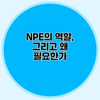 NPE의 역할, 그리고 왜 필요한가?