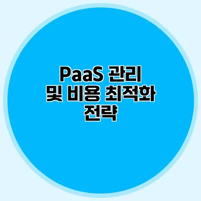 PaaS 관리 및 비용 최적화 전략