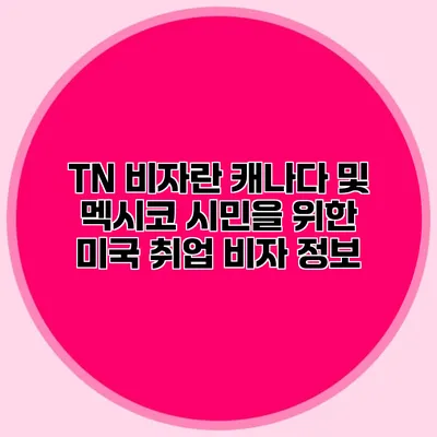 TN 비자란? 캐나다 및 멕시코 시민을 위한 미국 취업 비자 정보