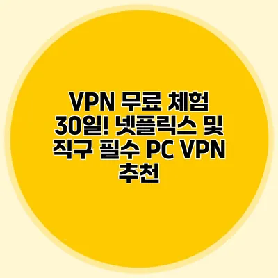 VPN 무료 체험 30일! 넷플릭스 및 직구 필수 PC VPN 추천