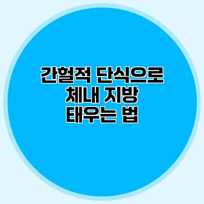 간헐적 단식으로 체내 지방 태우는 법