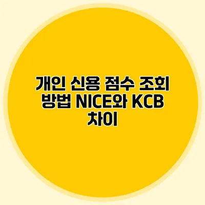 개인 신용 점수 조회 방법 NICE와 KCB 차이