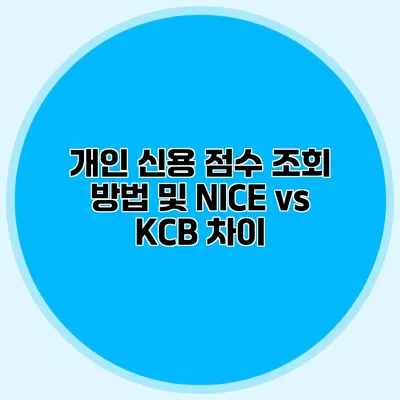 개인 신용 점수 조회 방법 및 NICE vs KCB 차이