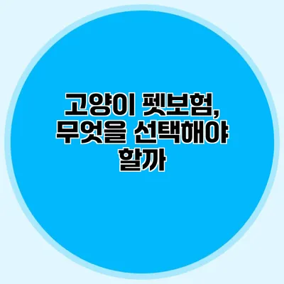 고양이 펫보험, 무엇을 선택해야 할까?