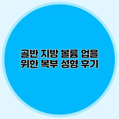 골반 지방 볼륨 업을 위한 복부 성형 후기