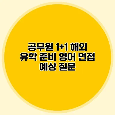 공무원 1+1 해외 유학 준비 영어 면접 예상 질문