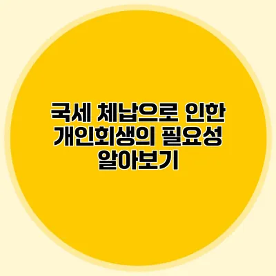 국세 체납으로 인한 개인회생의 필요성 알아보기