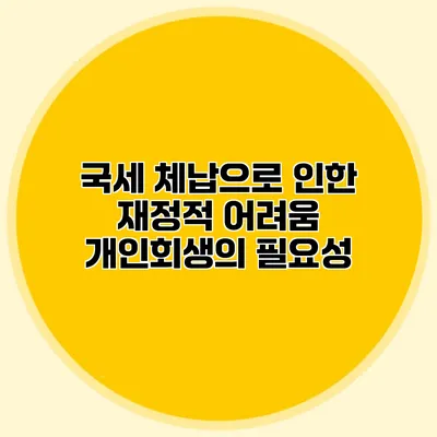 국세 체납으로 인한 재정적 어려움 개인회생의 필요성