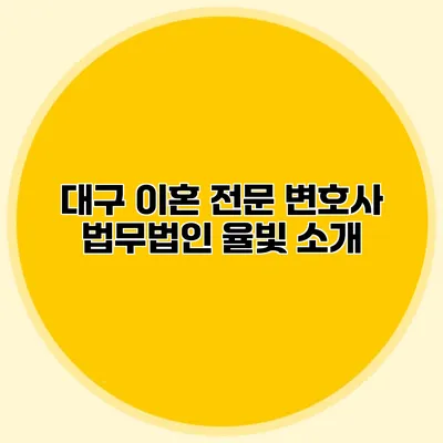 대구 이혼 전문 변호사 법무법인 율빛 소개