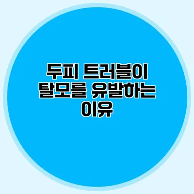 두피 트러블이 탈모를 유발하는 이유