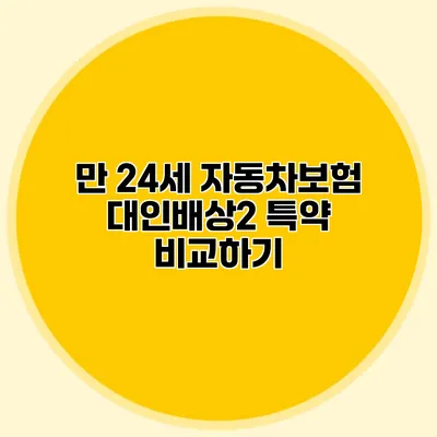 만 24세 자동차보험 대인배상2 특약 비교하기