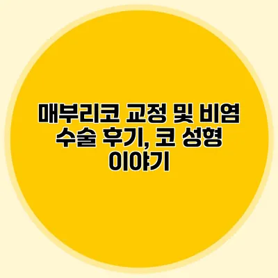 매부리코 교정 및 비염 수술 후기, 코 성형 이야기