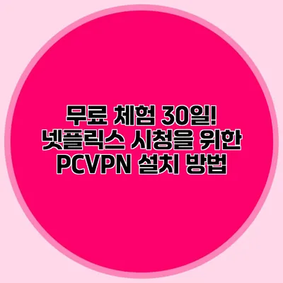 무료 체험 30일! 넷플릭스 시청을 위한 PCVPN 설치 방법