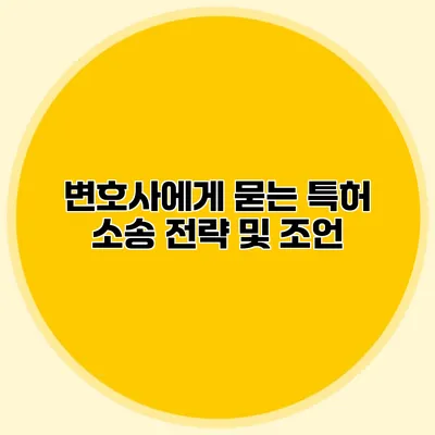 변호사에게 묻는 특허 소송 전략 및 조언