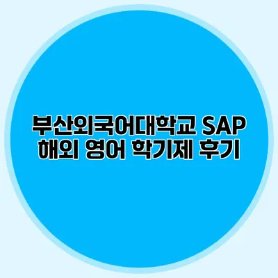 부산외국어대학교 SAP 해외 영어 학기제 후기