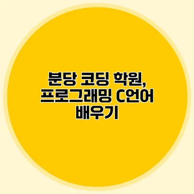 분당 코딩 학원, 프로그래밍 C언어 배우기