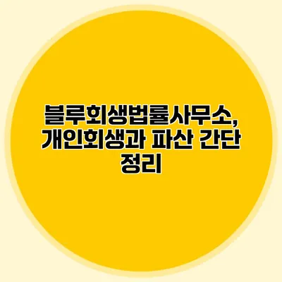 블루회생법률사무소, 개인회생과 파산 간단 정리