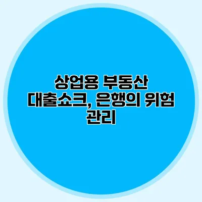 상업용 부동산 대출쇼크, 은행의 위험 관리