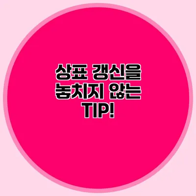 상표 갱신을 놓치지 않는 TIP!