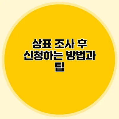 상표 조사 후 신청하는 방법과 팁