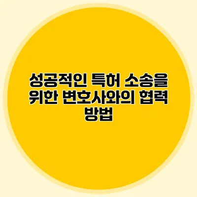 성공적인 특허 소송을 위한 변호사와의 협력 방법