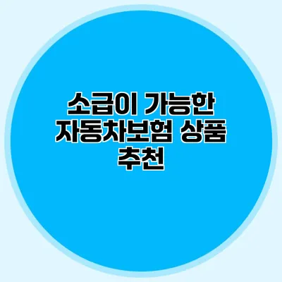 소급이 가능한 자동차보험 상품 추천