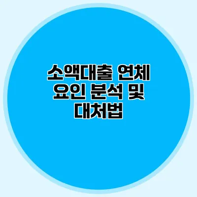 소액대출 연체 요인 분석 및 대처법