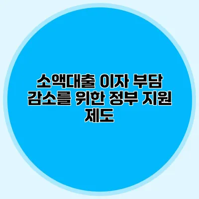 소액대출 이자 부담 감소를 위한 정부 지원 제도