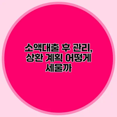 소액대출 후 관리, 상환 계획 어떻게 세울까?