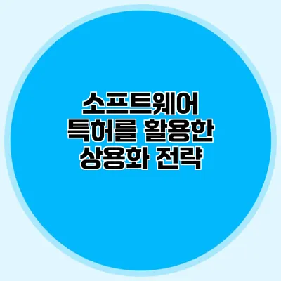 소프트웨어 특허를 활용한 상용화 전략