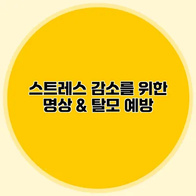 스트레스 감소를 위한 명상 & 탈모 예방 스트레스 감소를 위한 명상 & 탈모 예방