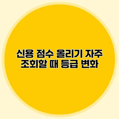 신용 점수 올리기 자주 조회할 때 등급 변화?