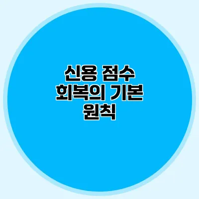 신용 점수 회복의 기본 원칙