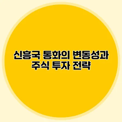 신흥국 통화의 변동성과 주식 투자 전략