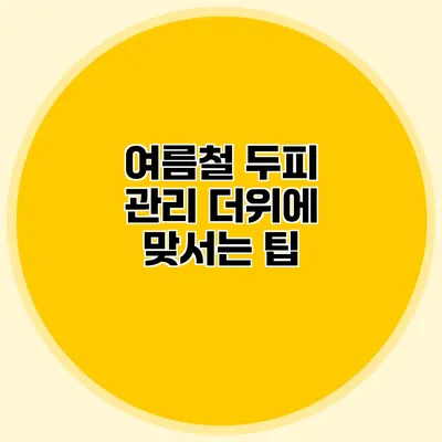 여름철 두피 관리 더위에 맞서는 팁