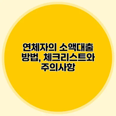 연체자의 소액대출 방법, 체크리스트와 주의사항