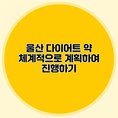 울산 다이어트 약 체계적으로 계획하여 진행하기