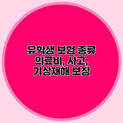 유학생 보험 종류 의료비, 사고, 기상재해 보장