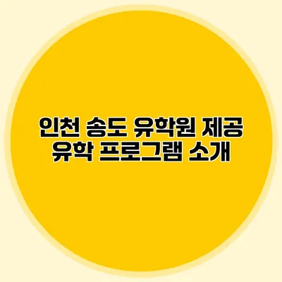 인천 송도 유학원 제공 유학 프로그램 소개