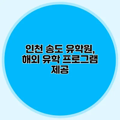 인천 송도 유학원, 해외 유학 프로그램 제공