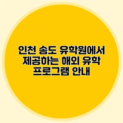 인천 송도 유학원에서 제공하는 해외 유학 프로그램 안내