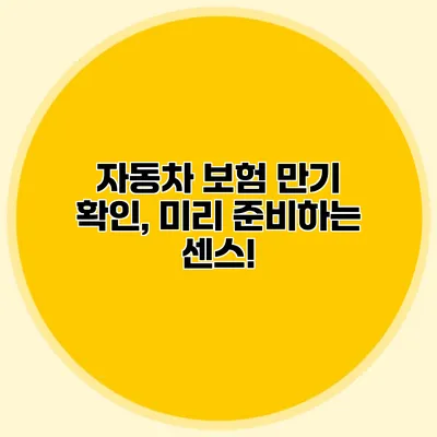 자동차 보험 만기 확인, 미리 준비하는 센스!